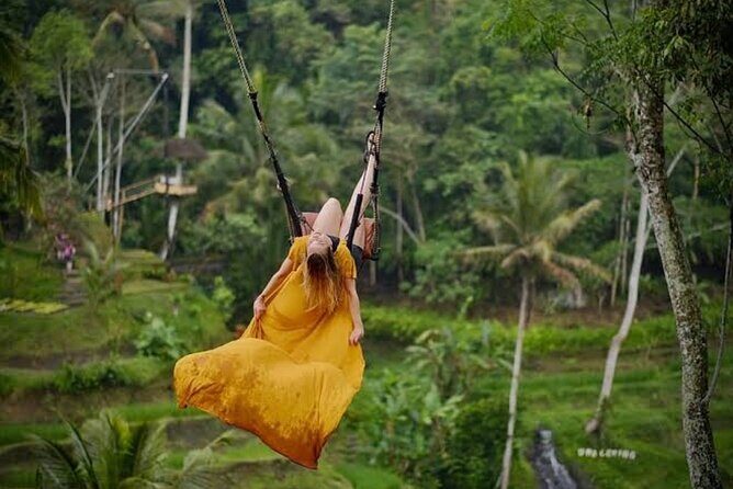 Private Day Tour To Waterfalls And Ubud Sightseeing - FAQ