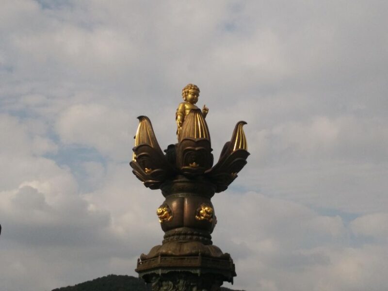 Private Day Tour to Wuxi Lingshan Grand Buddha and Tai Lake - A Deep Dive into the Experience
