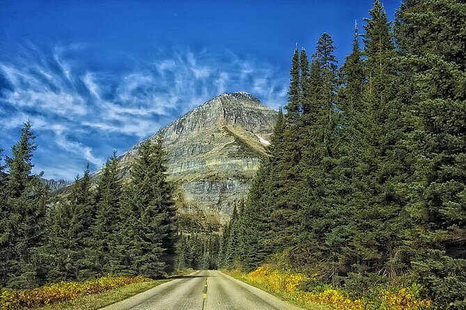 Private Day Tour to Yosemite National Park - An In-Depth Look at the Tour Experience