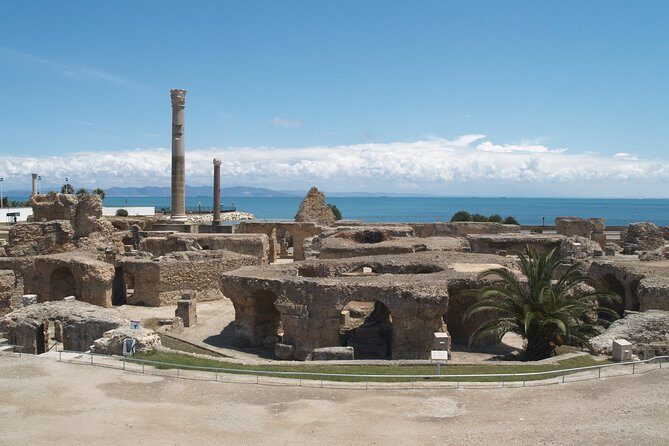 Private Day Tour Tunis Medina Carthage Sidi Bou Said Bardo Museum - The Itinerary Breakdown