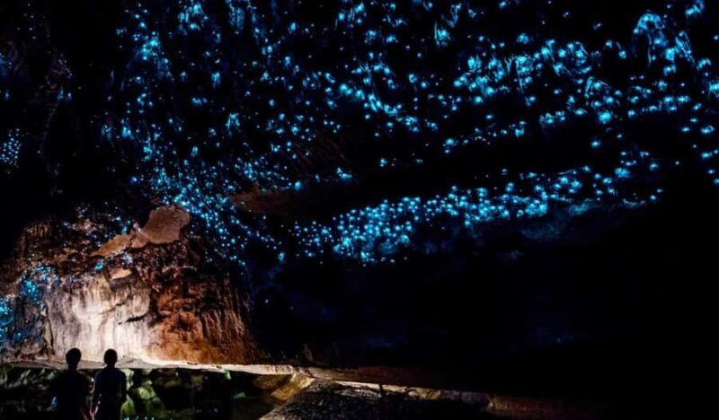 Private Day Tour: Waitomo Glowworms & Hobbiton Movie Set - In The Sum Up