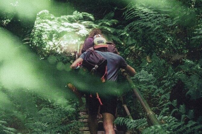 Private Day Trip at the Blue Mountains - Key Points
