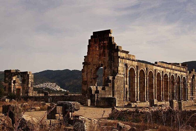 Private Day Trip from Fes to Volubilis Moulay Idriss and Meknes - What Makes This Tour Stand Out