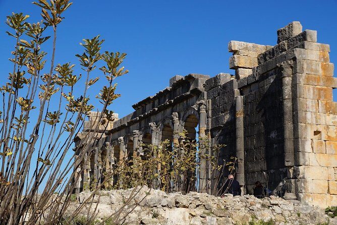 Private Day Trip From Fez To Volubilis and Meknes - An In-Depth Look at the Itinerary