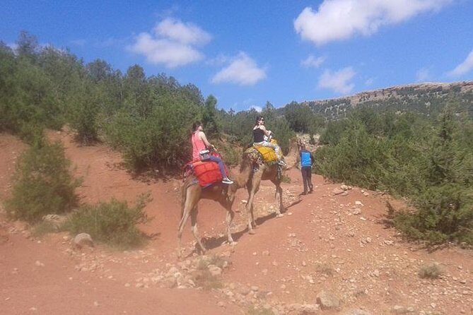 Private Day Trip from Marrakech: Camel Ride and Hike in the High Atlas Mountains - Key Points