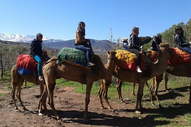 Private Day Trip from Marrakech: Camel Ride and Hike in the High Atlas Mountains - Why This Tour Offers Great Value