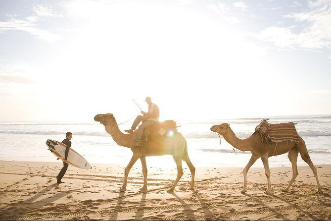 Private Day Trip from Marrakech to Essaouira City - The Sum Up: Who Is This Tour Best For?