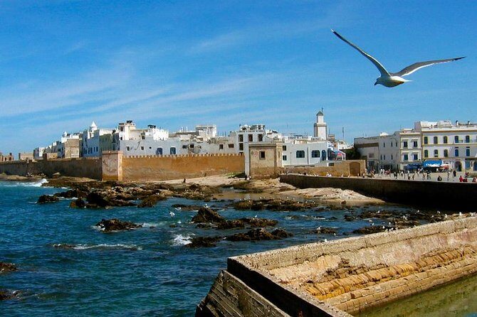 Private Day trip from Marrakech to Essaouira mogador - An Ideal Escape: Why Choose a Private Day Trip from Marrakech?