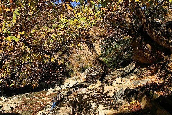 Private Day Trip From Marrakech To Ourika valley - Who Is This Tour Best For?