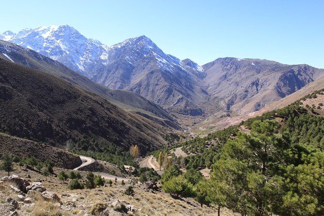 Private day trip from Marrakech to Ourika valley - Who Should Consider This Tour?