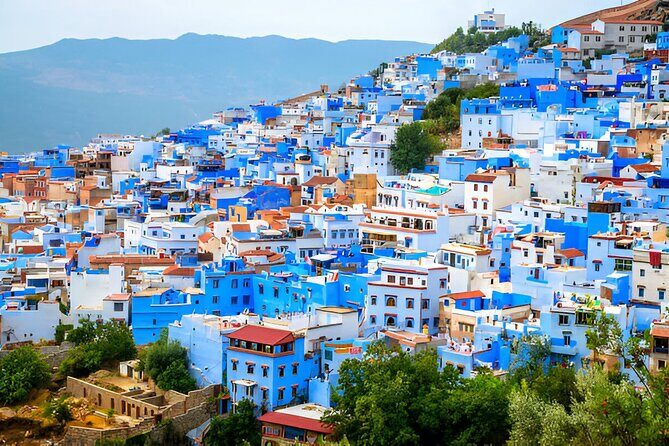 Private Day Trip from Rabat to Chefchaouen with Local Guide - The Sum Up