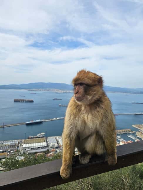 Private Day Trip: Gibraltar & (Tangier) Morocco from Seville - The Experience in Detail: What to Expect on the Tour