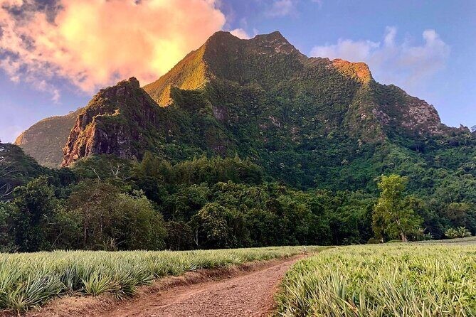 Private Day Trip Hike and Boat in Moorea - Practical Details and Tips for Travelers