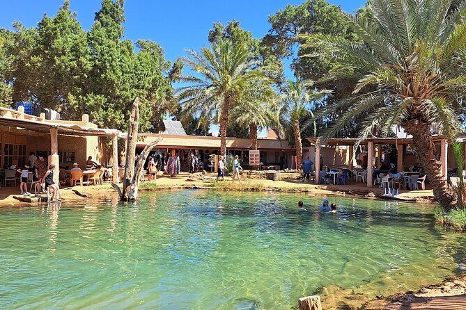 Private Day Trip Ksar Ghilane Oasis - Exploring the Ksar Ghilane Oasis: A Full Review of the Private Day Trip