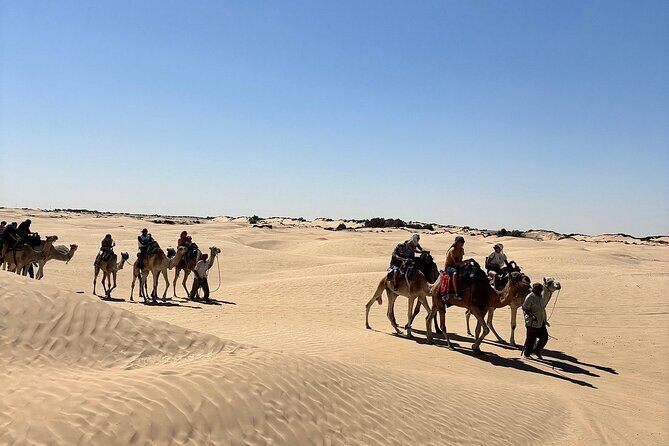 Private Day Trip Ksar Ghilane Oasis - A Detailed Look at the Ksar Ghilane Day Trip