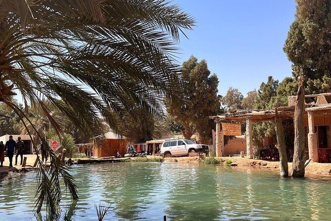 Private Day Trip Ksar Ghilane Oasis - Authentic Experiences and Authentic Value
