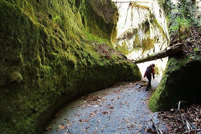 Private Day Trip of Lake Shikotsu and Moss Canyon - A Detailed Look at the Private Day Trip to Lake Shikotsu and Moss Canyon