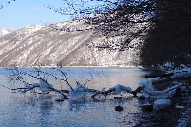 Private Day Trip of Lake Shikotsu and Moss Canyon - What to Expect During the Day