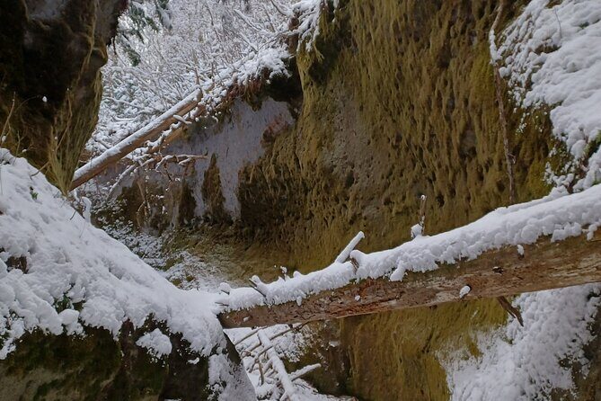 Private Day Trip of Lake Shikotsu and Moss Canyon - Practical Tips for Making the Most of Your Trip