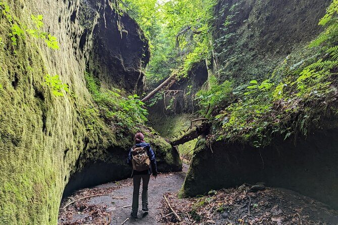 Private Day Trip of Lake Shikotsu and Moss Canyon - Who Will Love This Tour?