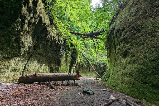 Private Day Trip of Lake Shikotsu and Moss Canyon - FAQ
