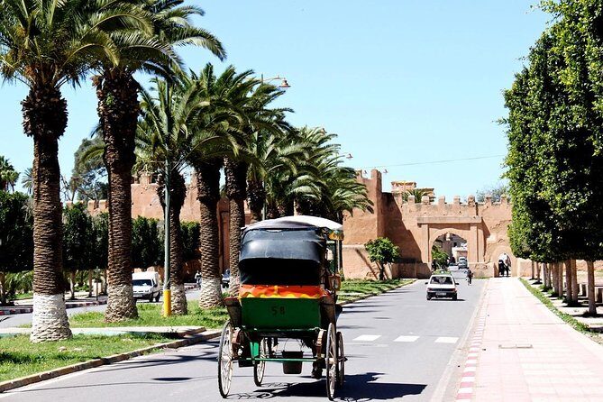 Private Day Trip of Taroudant & Tiout from Agadir - Key Points