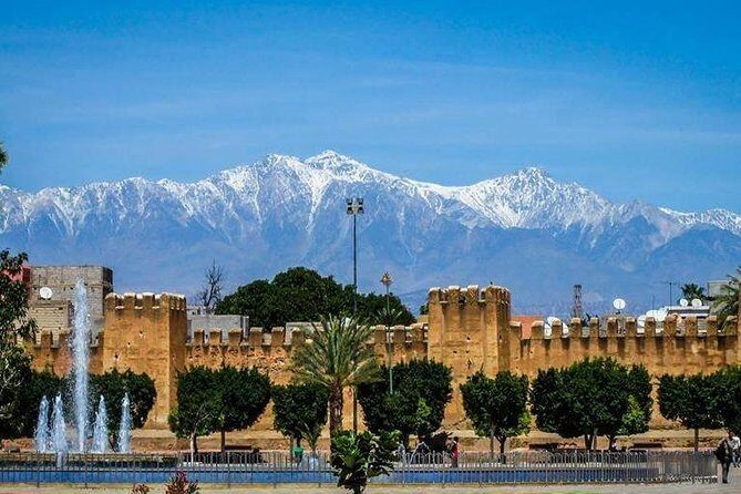 Private Day Trip of Taroudant & Tiout from Agadir - Exploring the Palm Grove: From Donkeys to Dated Oases