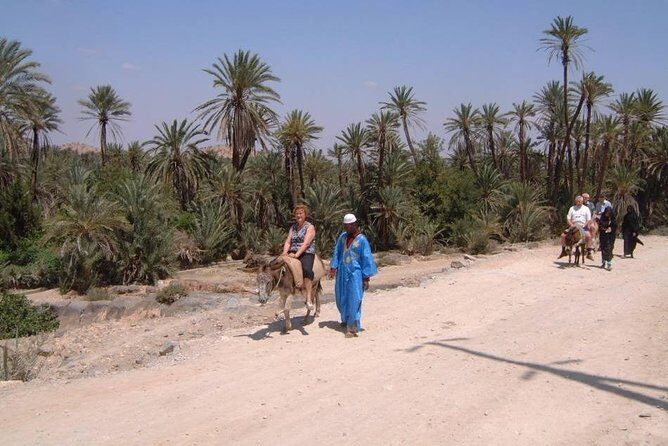 Private Day Trip of Taroudant & Tiout from Agadir - Getting the Most from Your Day