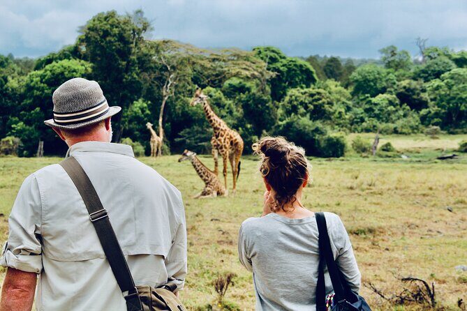 Private Day Trip to Arusha National Park with a Walking Safari - Key Points