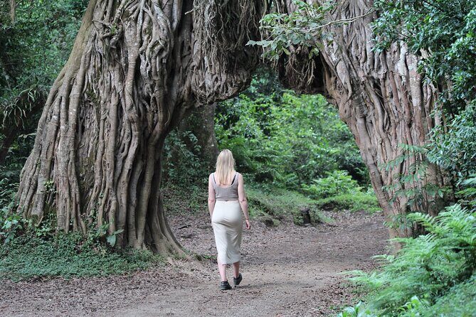 Private Day Trip to Arusha National Park with a Walking Safari - FAQ