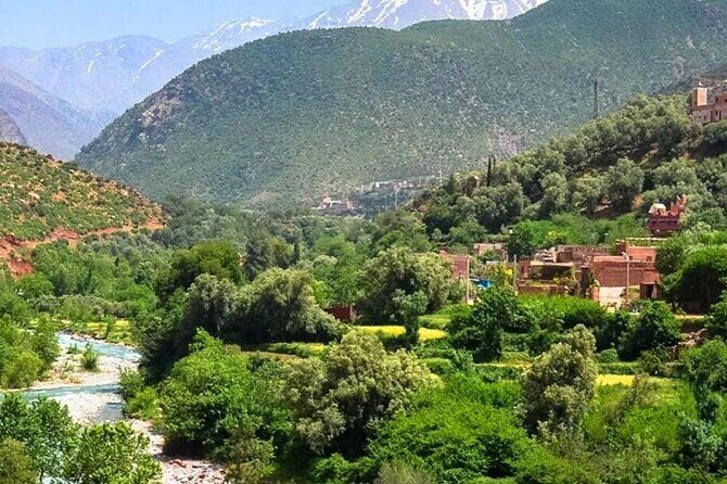 Private Day trip to Berber villages and Market from Marrakech - Considerations and Possible Drawbacks
