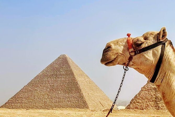 Private day trip to Cairo from Hurghada - Who Should Consider This Tour?