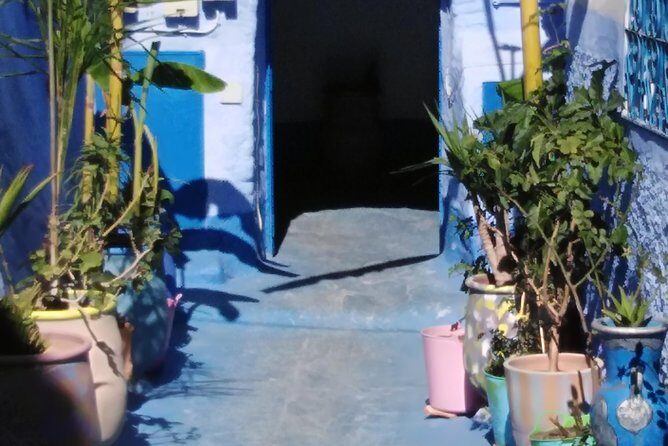 Private Day Trip to Chefchaouen from Fez - Who Will Love This Tour?