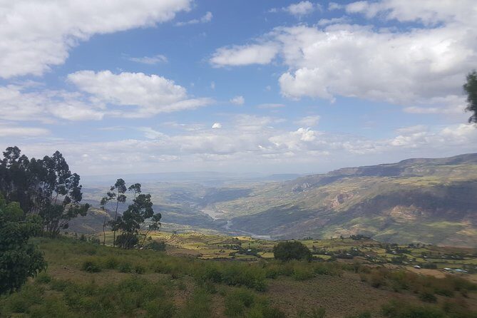 Private Day Trip to Debre Libanos Portuguese Bridge Galada Baboon - Frequently Asked Questions