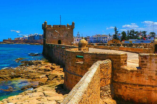 Private Day Trip to Essaouira and Argan Forest from Marrakech - Authentic Experiences and Reviews