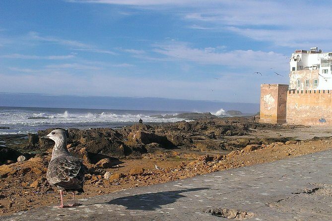 Private Day Trip to Essaouira and Argan Forest from Marrakech - FAQ