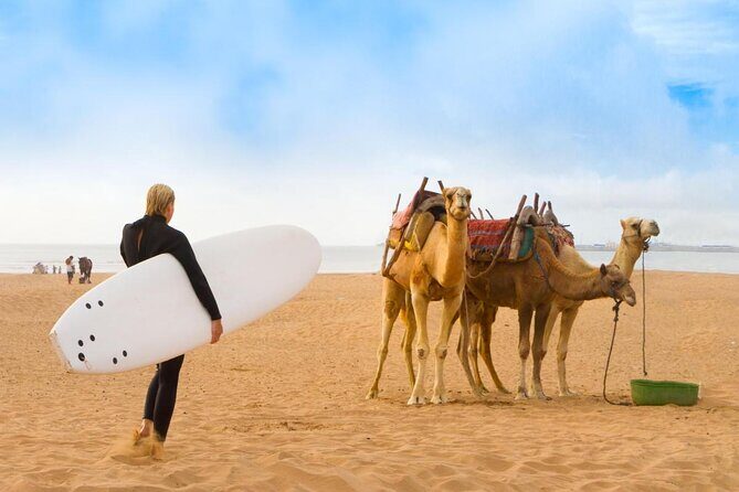 Private Day Trip to Essaouira from Marrakech including 1h-camel - Key Points