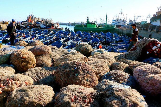 Private Day Trip to Essaouira from Marrakech including 1h-camel - A Closer Look at the Tour Details