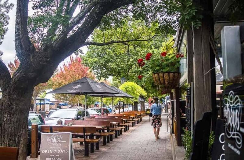 Private Day Trip to Hahndorf and McLaren Vale Bus - Exploring Hahndorf: A Delightful German Village