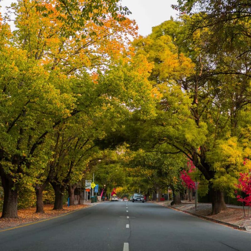 Private Day Trip to Hahndorf and McLaren Vale Bus - Discovering McLaren Vale: Wine, Food, and More