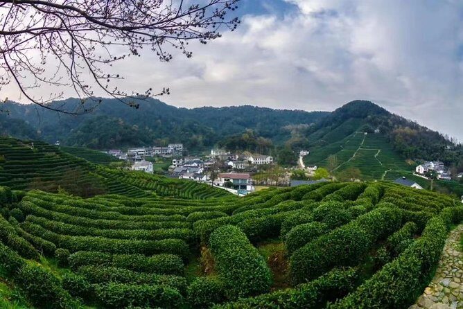 Private Day Trip to Hangzhou from Shanghai by Bullet Train - An In-Depth Look at the Tour Itinerary