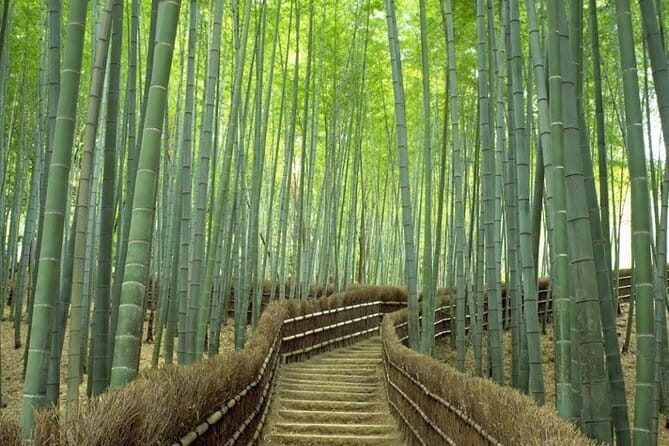 Private Day Trip To Hiroshima from Kyoto or Osaka by Bullet Train - FAQs