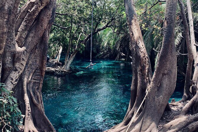 Private Day Trip to Kikuletwa Hot Springs in Kilimanjaro - Final Words