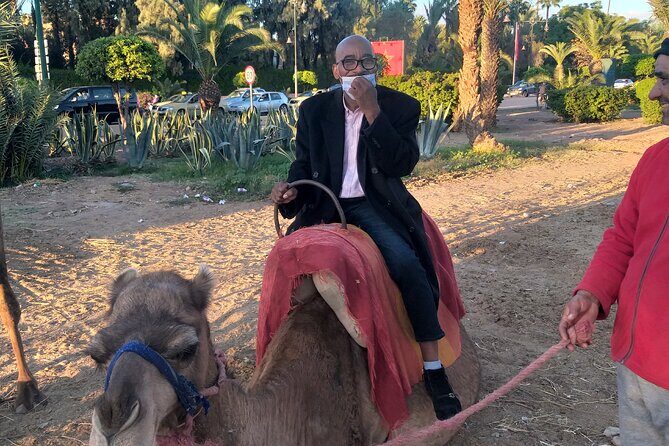 Private day trip to Marrakech from Casablanca - FAQ
