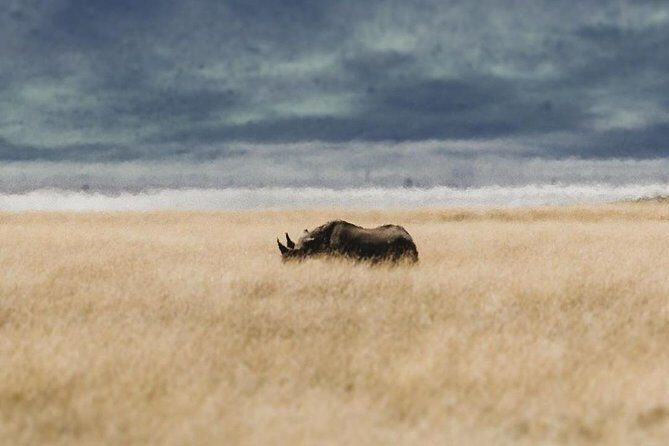 Private Day Trip to Ngorongoro Crater - A Closer Look at the Experience