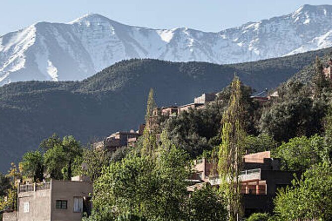 Private Day trip to ourika valley atlas mountains from marrakech - Why This Tour is a Solid Choice
