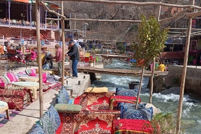 Private Day Trip to Ourika Valley - The Bottom Line: Who Should Consider This Tour?