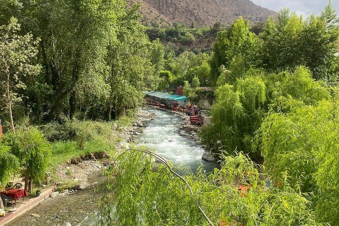 private day trip to Ourika Valley from marrakech - A Closer Look at the Ourika Valley Private Day Trip