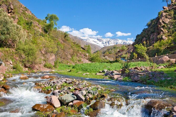 Private Day Trip to Ourika Valley from Marrakech with Lunch - Who Would Love This Tour?