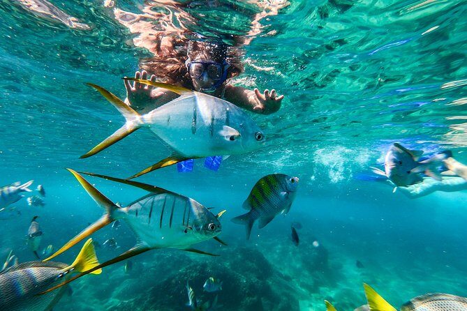 Private Day Trip to San José & Cabo San Lucas - Who Should Consider This Tour?